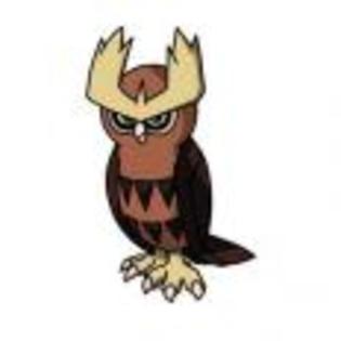 Pok_mon_1255750414_2_1998 - ZzZ-Pokemon-ZzZ