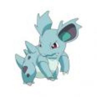 Pok_mon_1255750414_3_1998 - ZzZ-Pokemon-ZzZ