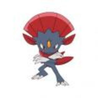 Pok_mon_1255750414_4_1998 - ZzZ-Pokemon-ZzZ