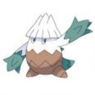 Pok_mon_1255750436_0_1998 - ZzZ-Pokemon-ZzZ