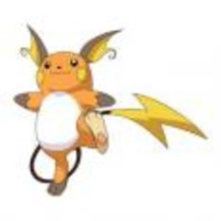 Pok_mon_1255750436_3_1998 - ZzZ-Pokemon-ZzZ
