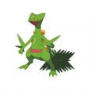 Pok_mon_1255750450_2_1998 - ZzZ-Pokemon-ZzZ