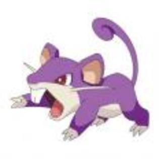 Pok_mon_1255750450_4_1998 - ZzZ-Pokemon-ZzZ