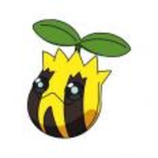 Pok_mon_1255750470_1_1998 - ZzZ-Pokemon-ZzZ
