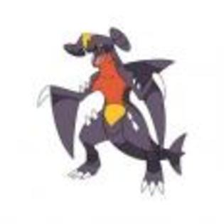 Pok_mon_1255750470_3_1998 - ZzZ-Pokemon-ZzZ