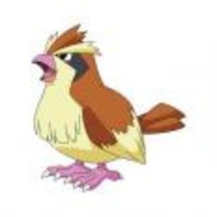Pok_mon_1255750470_4_1998 - ZzZ-Pokemon-ZzZ