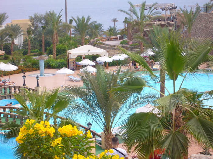 piscinele Hotelului "Vera Club" - VACANTA LA SHARM EL SHEIK