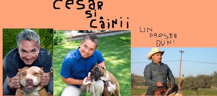 cesar4 - revista puppy nr 1