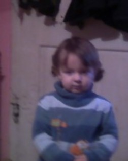 Timi iarna