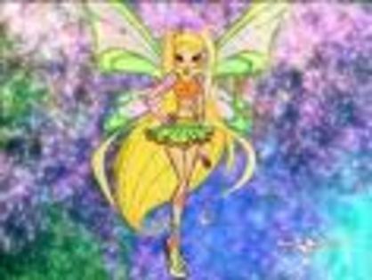 stella shopix - Cl_Stella_Cl