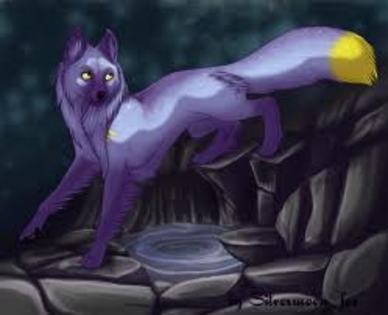 images (12) - diverse