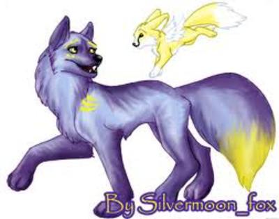 images (13) - diverse