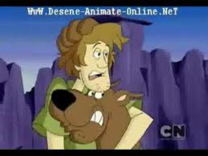 images (38) - diverse