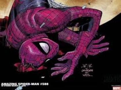 images (13)