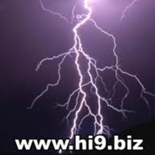 images (3) - diverse