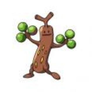 Pok_mon_1255750496_0_1998 - ZzZ-Pokemon-ZzZ