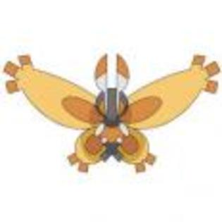 Pok_mon_1255750496_1_1998 - ZzZ-Pokemon-ZzZ