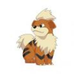Pok_mon_1255750496_3_1998 - ZzZ-Pokemon-ZzZ