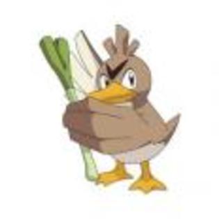 Pok_mon_1255750508_4_1998 - ZzZ-Pokemon-ZzZ