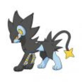 Pok_mon_1255750518_0_1998 - ZzZ-Pokemon-ZzZ