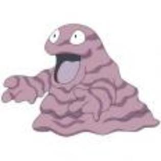Pok_mon_1255750518_1_1998 - ZzZ-Pokemon-ZzZ