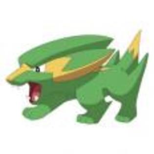 Pok_mon_1255750518_2_1998 - ZzZ-Pokemon-ZzZ