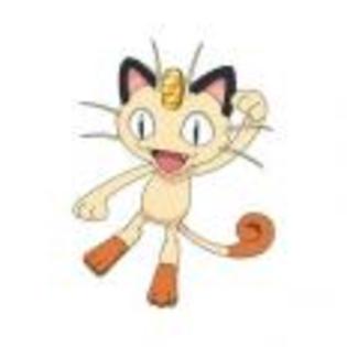 Pok_mon_1255750605_1_1998 - ZzZ-Pokemon-ZzZ