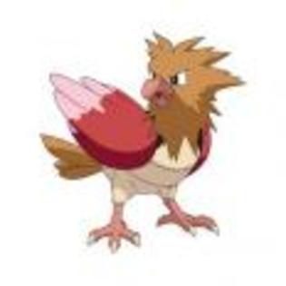 Pok_mon_1255750616_2_1998 - ZzZ-Pokemon-ZzZ