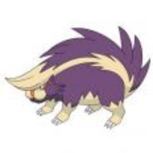 Pok_mon_1255750616_3_1998 - ZzZ-Pokemon-ZzZ