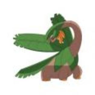 Pok_mon_1255750639_3_1998 - ZzZ-Pokemon-ZzZ