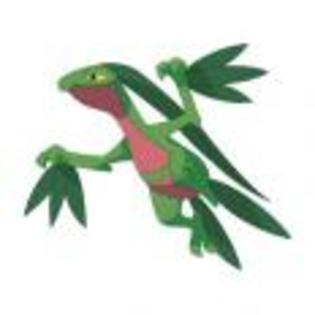 Pok_mon_1255750639_4_1998 - ZzZ-Pokemon-ZzZ