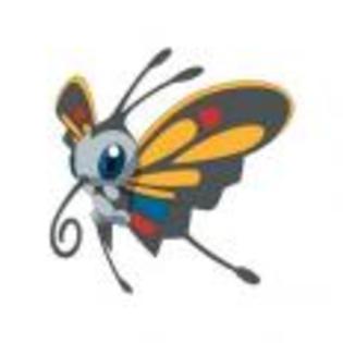 Pok_mon_1255750651_3_1998 - ZzZ-Pokemon-ZzZ