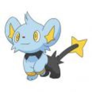 Pok_mon_1255750664_1_1998 - ZzZ-Pokemon-ZzZ