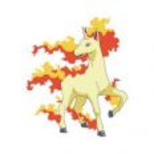 Pok_mon_1255750846_0_1998 - ZzZ-Pokemon-ZzZ
