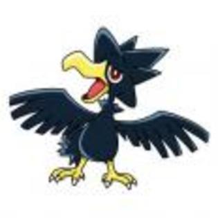 Pok_mon_1255750965_0_1998 - ZzZ-Pokemon-ZzZ