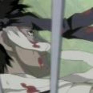 Naruto_1250757105_1_2002