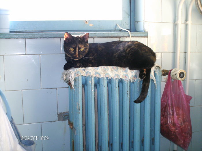 februarie_ 004 - mita _2011