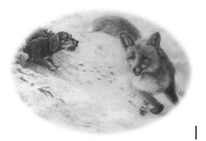 AKFECA5IM2XECACW6KT6CAEE4AA9CA9N8BASCA9YVFP2CA030NVVCAF4AH6XCAR04AX6CAI6GQ6BCAA6SVMWCAPL3B44CAWH224I