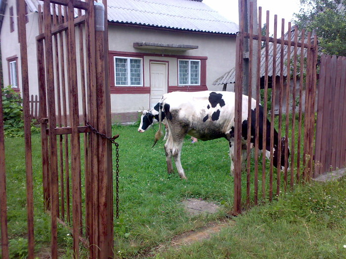 190620101385 - casa de odihna