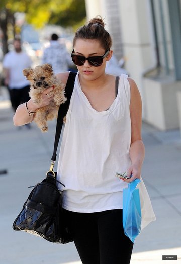 10 - Out and about in Toluca Lake - February 9