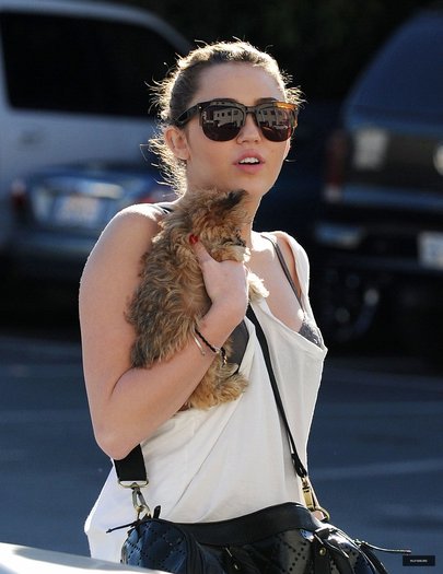 12 - Out and about in Toluca Lake - February 9