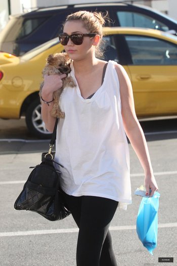 15 - Out and about in Toluca Lake - February 9