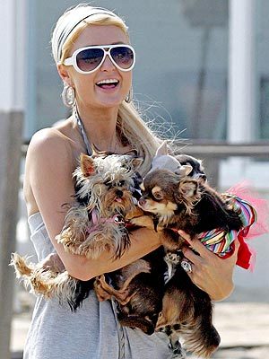 paris_hilton[3] - Paris Hilton