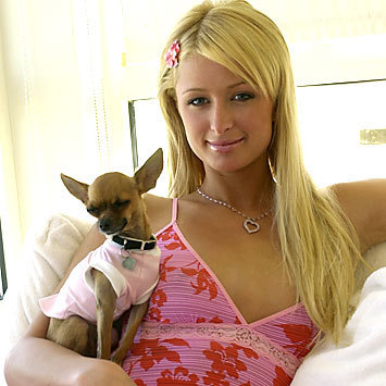 paris_hilton-1[1] - Paris Hilton