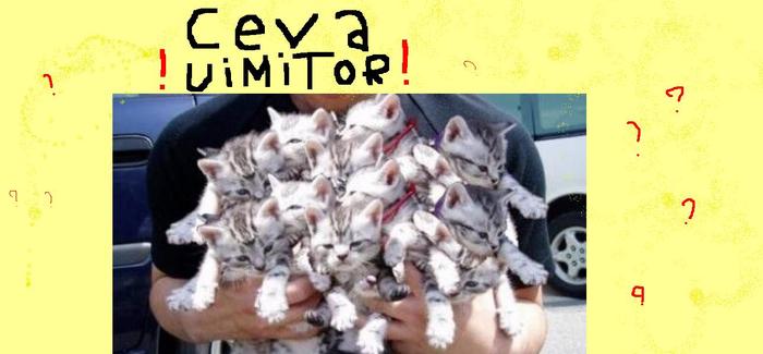 ceva uimitor