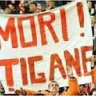 images (19) - dinamo anti steaua