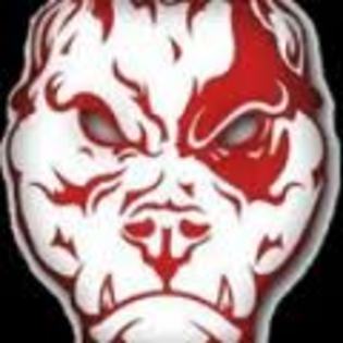 images (20) - dinamo anti steaua