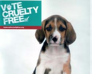 vote cruelty free - Aloe Vera si animalele