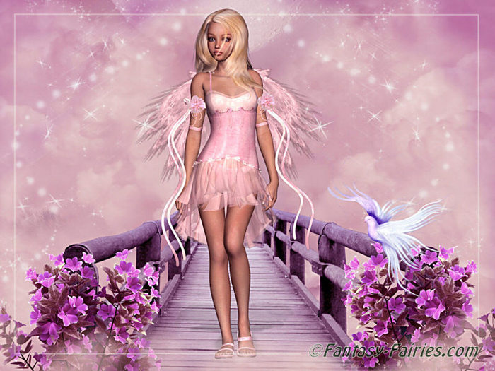 pink_fairy01 - concurs4