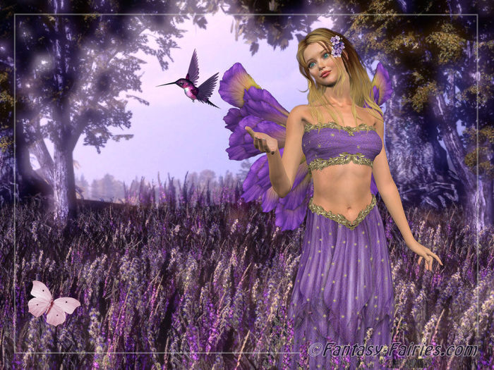 Lavendar-Fairy-Wallpaper-fairies-6350130-1024-768 - concurs4